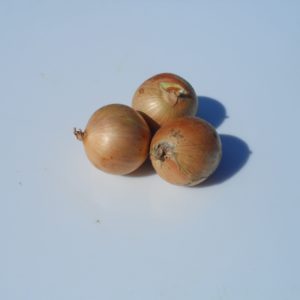 Oignons 500g (anciens)