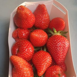 Fraises 500g