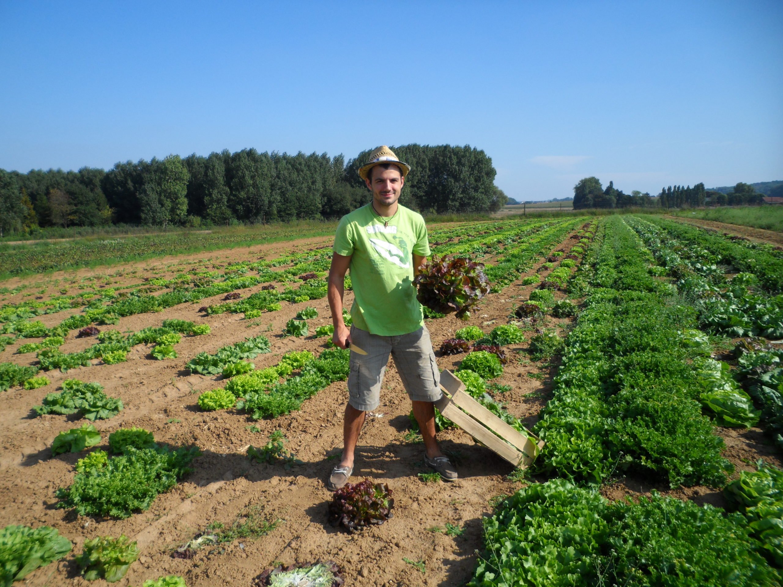 Franck Michotte, cultivateur de fruits et légumes dans l'oise à Marest-sur-Matz 60490