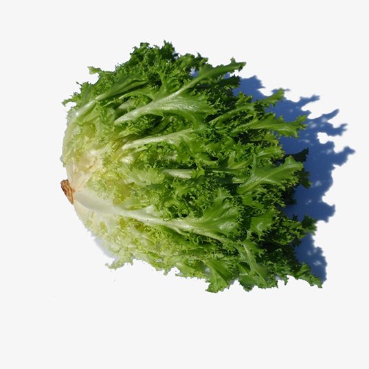 salade Frisée