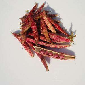 Haricots coco 500g