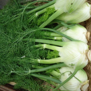 fenouil 500g